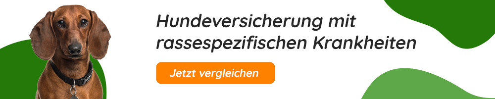 Hundekrankenversicherung mit rassespezifischen Krankheiten